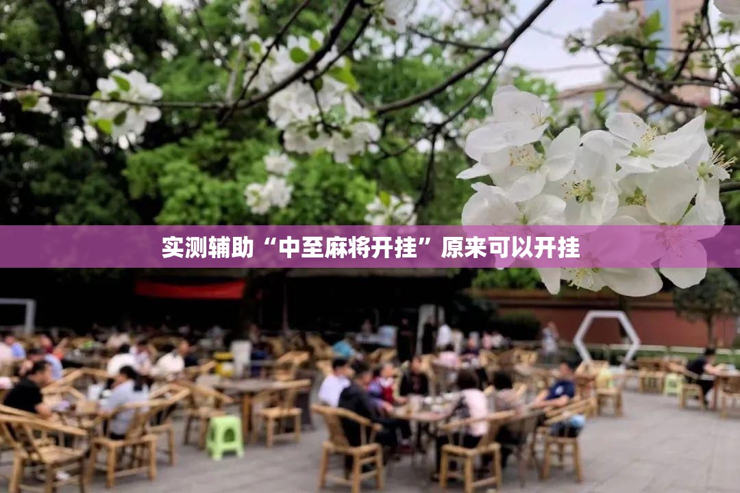 实测辅助“中至麻将开挂”原来可以开挂