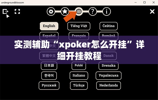 实测辅助“xpoker怎么开挂”详细开挂教程