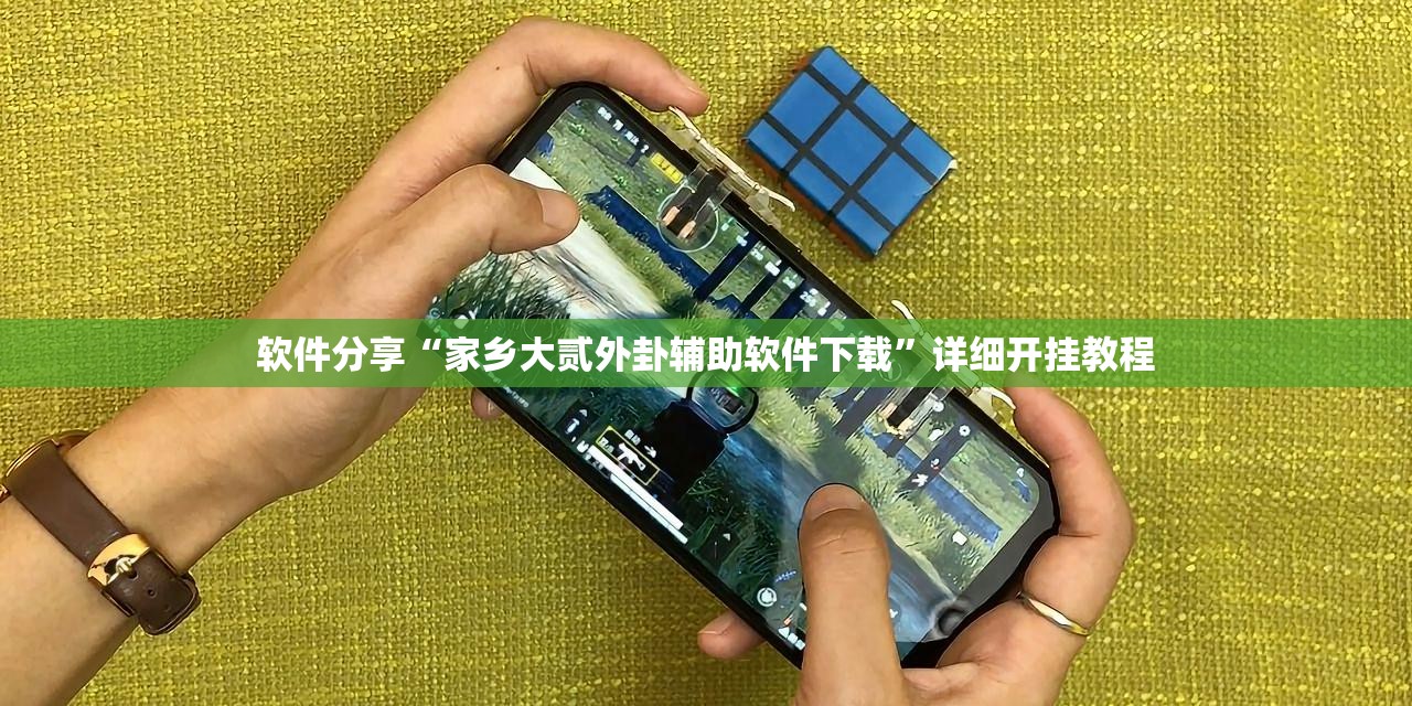 软件分享“家乡大贰外卦辅助软件下载”详细开挂教程
