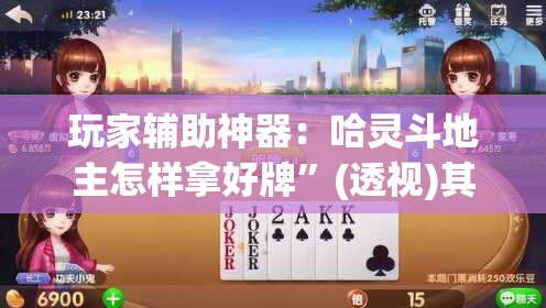 玩家辅助神器：哈灵斗地主怎样拿好牌”(透视)其实确实有挂