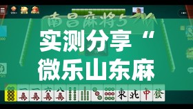 实测分享“微乐山东麻将免费挂”详细分享装挂步骤
